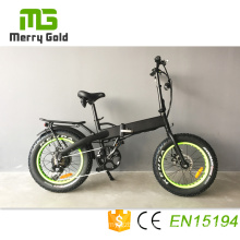 2019 Green Power Folding Electric Bicycle with Hidden Battery